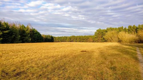 Scenic view of field against cloudy sky