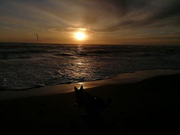 Silhouette of dog on beach against sky during sunset