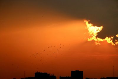 Silhouette of birds flying against orange sky