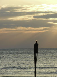 Silhouette of woman standing on beach