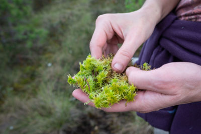 Midsection of person holding vegetables on field