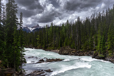 Scenic view of waterfall in forest against sky