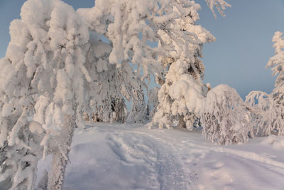 Scenic view of snow covered land against sky