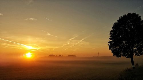 Scenic view of field against sky during sunset