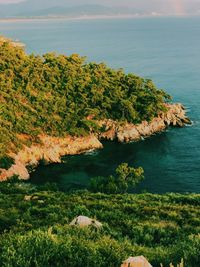 High angle view of trees by sea against sky