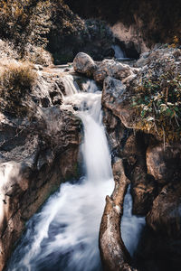 Scenic view of waterfall in forest