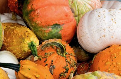 Plethora of pumpkins