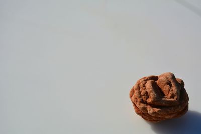 Close-up of bread over white background