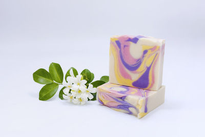 Close-up of multi colored roses against white background