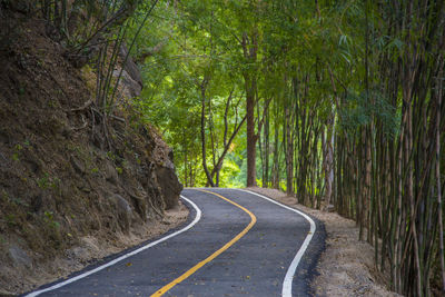 Road amidst trees in forest