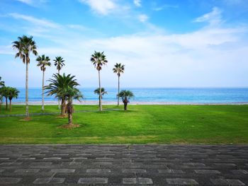 Scenic view of palm trees by sea against sky