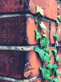 Full frame shot of rusty brick wall