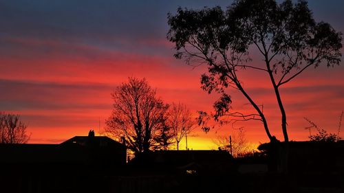 Low angle view of bare trees against sky at sunset