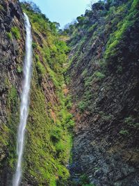 Scenic view of waterfall in forest