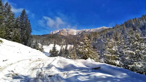 Scenic view of snowcapped mountains against blue sky