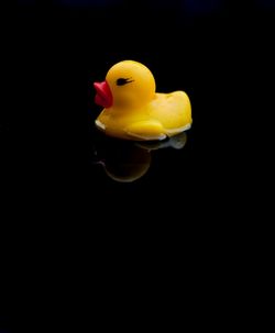 Close-up of yellow toy over black background