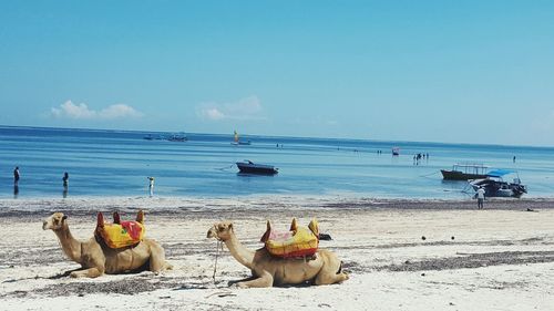 Panoramic view of people on beach