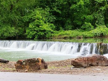 Scenic view of waterfall in forest