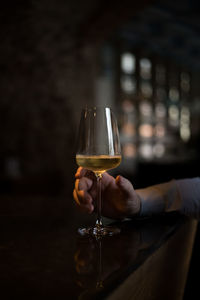 Cropped image of man hand holding wineglass at bar counter