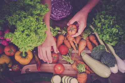 High angle view of hand holding fruits