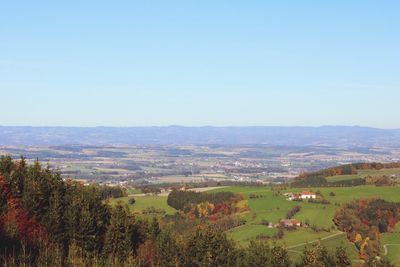 Scenic view of agricultural field against clear sky