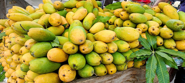 Heap of fresh ripe yellow mangoes at market for sell in india