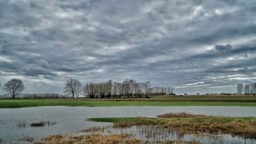 Scenic view of lake against cloudy sky