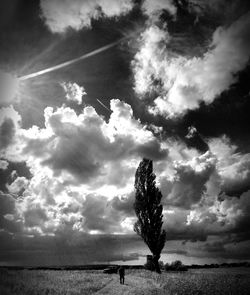 Silhouette of trees against cloudy sky