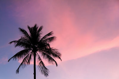 Low angle view of silhouette palm tree against sky at night