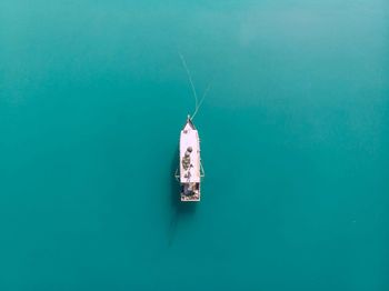 High angle view of fish hanging in sea