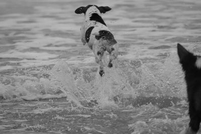 Blurred motion of waves splashing on beach