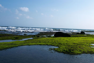 Scenic view of sea against sky