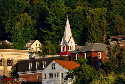 Houses and buildings against trees in city