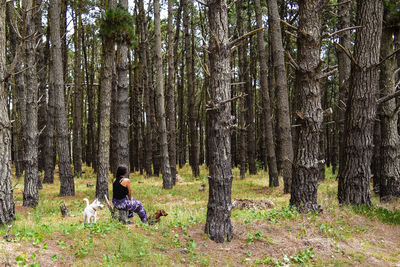Young woman sitting with dog in forest