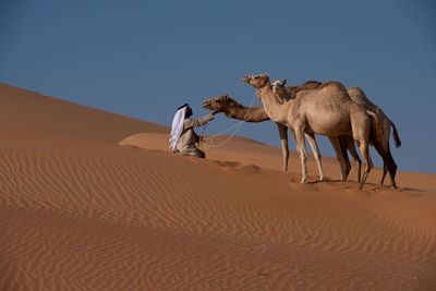 View of a desert