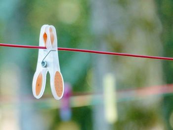 Close-up of clothespins hanging on rope