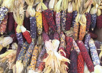 Corns for sale at market stall