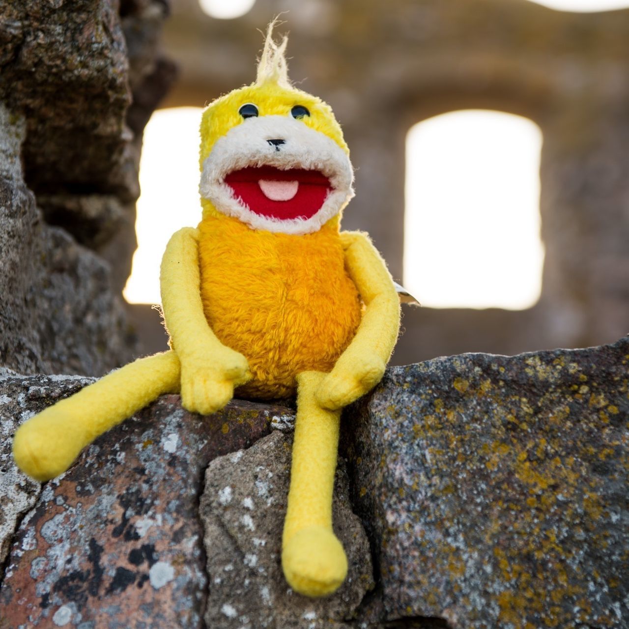 Flat Eric