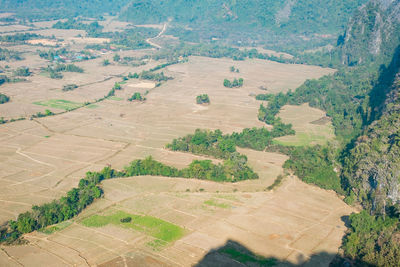 Aerial view of agricultural field