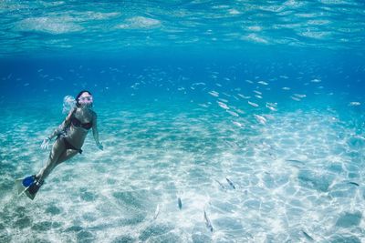 Woman snorkeling undersea with fishes