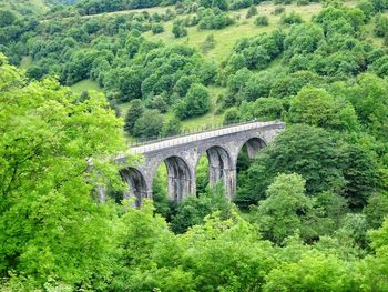 High angle view of headstone viaduct amidst trees