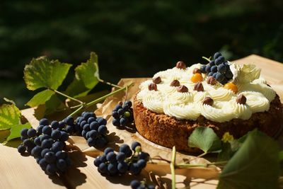 Close-up of cake on plant