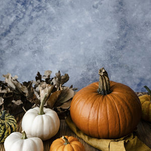 View of pumpkins