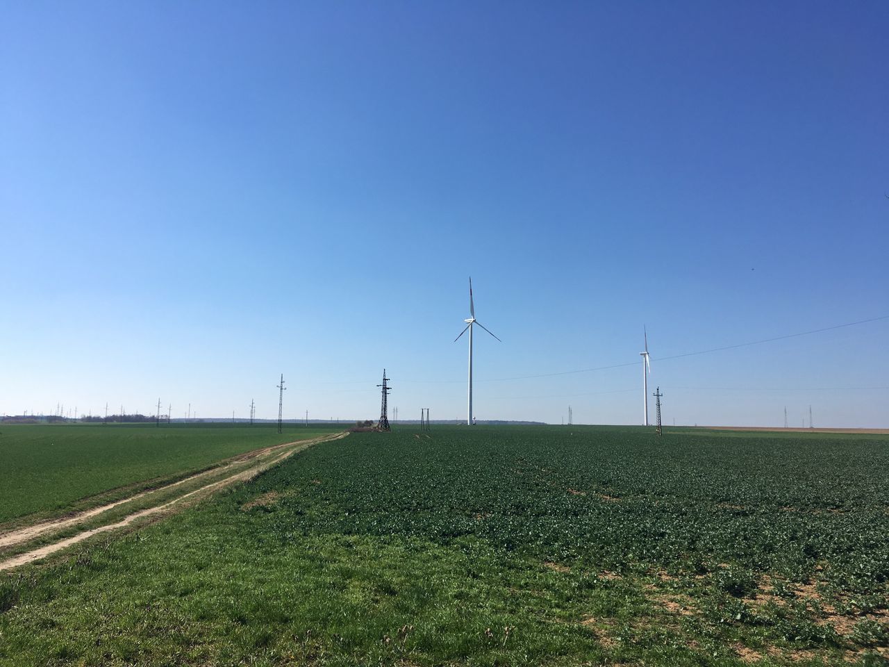 environment, environmental conservation, fuel and power generation, sky, turbine, renewable energy, wind turbine, landscape, alternative energy, field, land, blue, wind power, rural scene, grass, clear sky, nature, copy space, technology, plant, no people, sustainable resources, outdoors, power supply