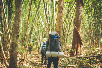 Rear view of backpackers hiking in forest