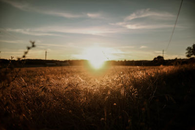 Scenic view of field against sky during sunset