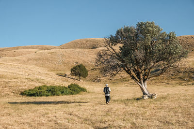 Rear view of man walking on field against clear sky