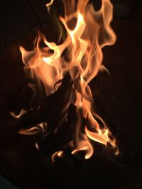 Close-up of bonfire at night