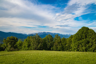 Scenic view of landscape against sky