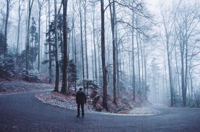 People walking on road